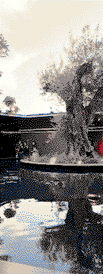 Pre1 Thumbnail